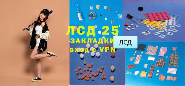ГАЛЛЮЦИНОГЕННЫЕ ГРИБЫ Абаза
