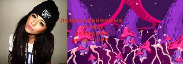 ГАЛЛЮЦИНОГЕННЫЕ ГРИБЫ Абаза